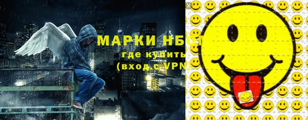 мдпв Рославль