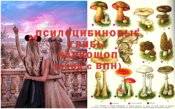 ECSTASY Заволжье