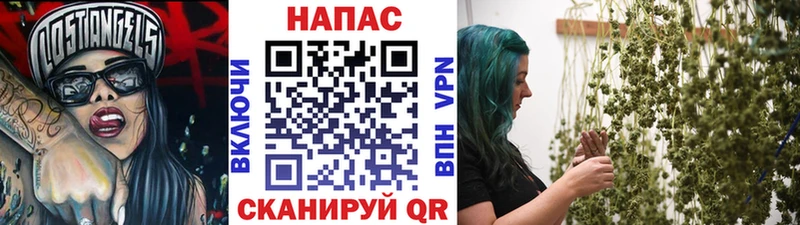 даркнет наркотические препараты  Славск  Конопля SATIVA & INDICA 